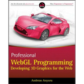Professional Webgl Programming: Developing 3D Graphics for the Web - Paperback