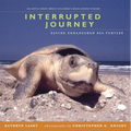 Interrupted Journey: Saving Endangered Sea Turtles - Paperback