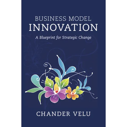 Business Model Innovation - Paperback