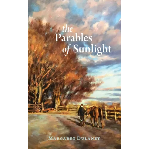 The Parables Of Sunlight - Paperback