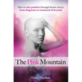 The Pink Mountain - Paperback