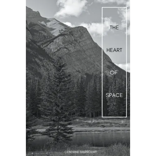 The Heart of Space - Paperback