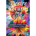 Desire Returns for a Visit: Intimate Poems about Lesbian Love - Paperback