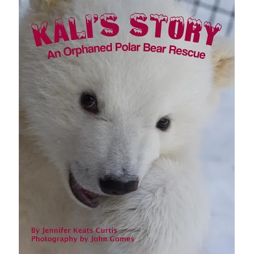 Kali's Story: An Orphaned Polar Bear Rescue - Paperback