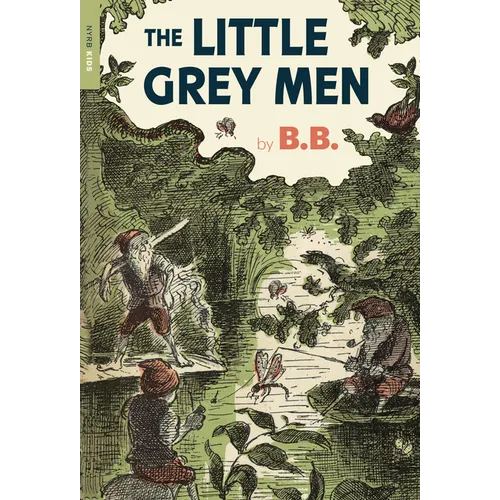 The Little Grey Men - Paperback