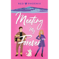 Meeting My Forever - Paperback