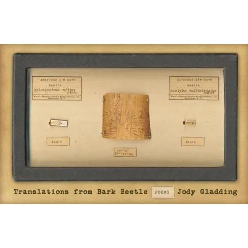 Translations from Bark Beetle: Poems - Paperback