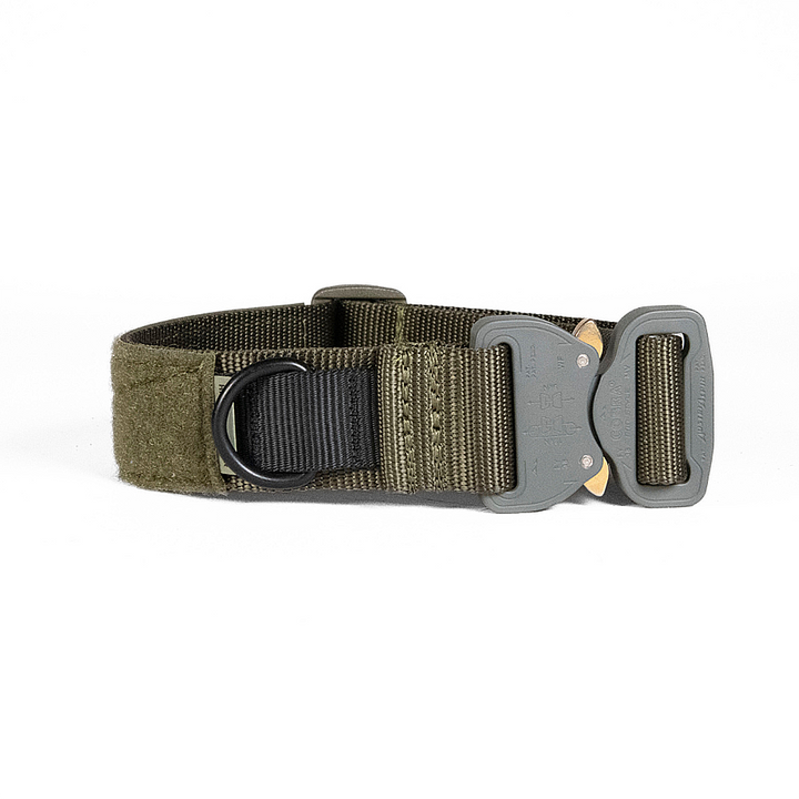 Dog Collars