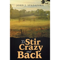 To Stir Crazy and Back - Paperback