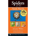 Spiders of the North Woods - Paperback