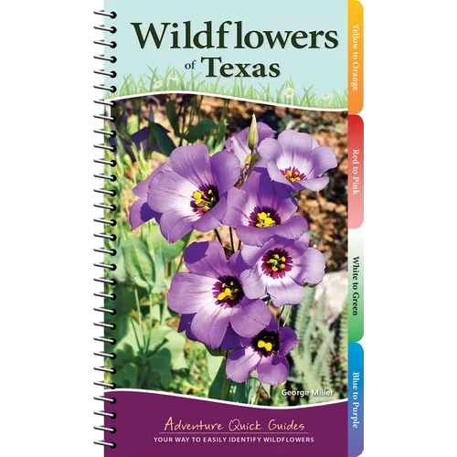 Wildflowers of Texas: Your Way to Easily Identify Wildflowers