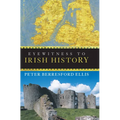 Eyewitness to Irish History - Paperback