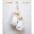 Gary Simmons: Public Enemy - Hardcover