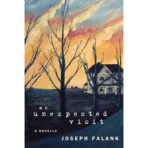 An Unexpected Visit - Paperback