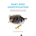 Baby Bird Identification: A North American Guide - Paperback