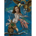 Bird Odyssey - Paperback