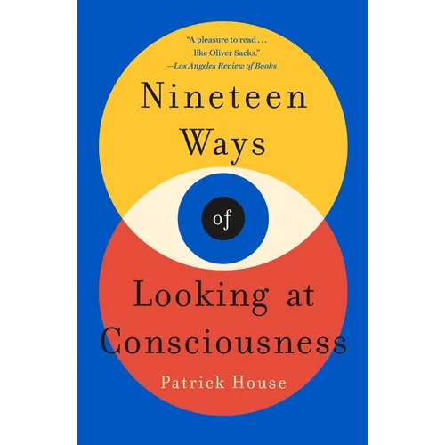 Nineteen Ways of Looking at Consciousness - Paperback
