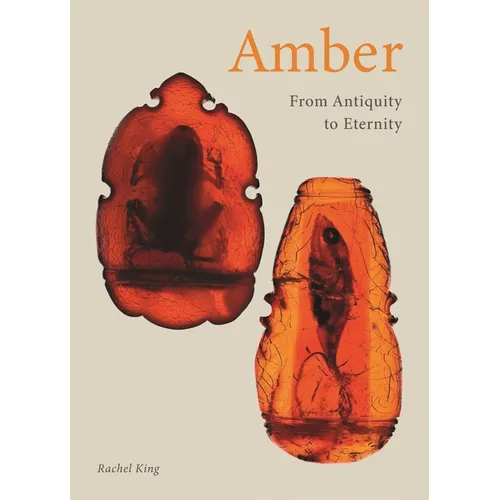 Amber: From Antiquity to Eternity - Hardcover