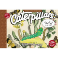 Caterpillars: What Will I Be When I Get to Be Me?: Toon Level 1 - Paperback