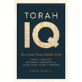 Torah IQ: The Great Torah Riddle Book - Paperback