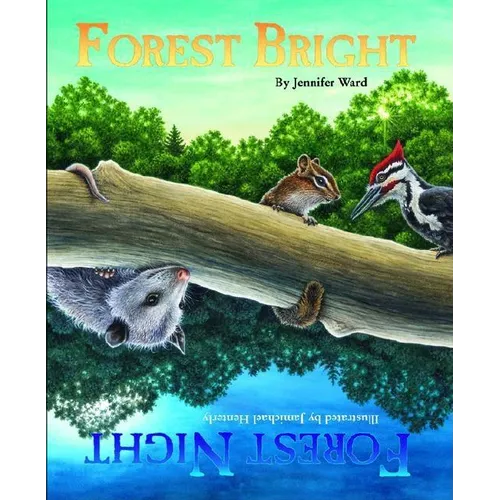 Forest Bright, Forest Night - Paperback