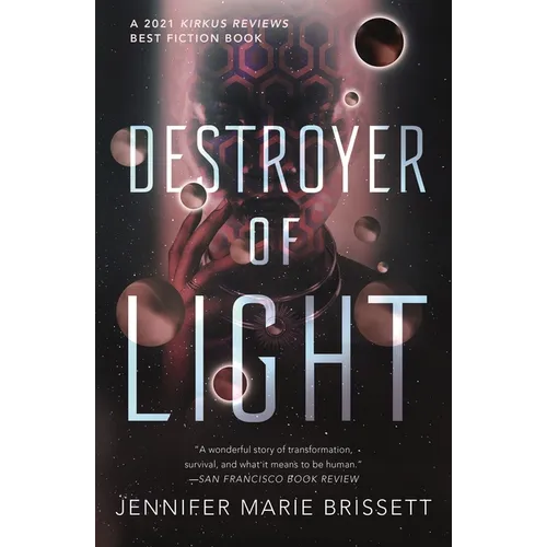 Destroyer of Light - Paperback