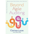 Beyond Agile Auditing: Three Core Components to Revolutionize Your Internal Audit Practices - Paperback