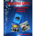 Marine Life: Learn about Whale, Shark and Penguins - Paperback