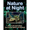 Nature at Night - Paperback