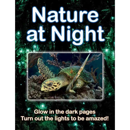 Nature at Night - Paperback