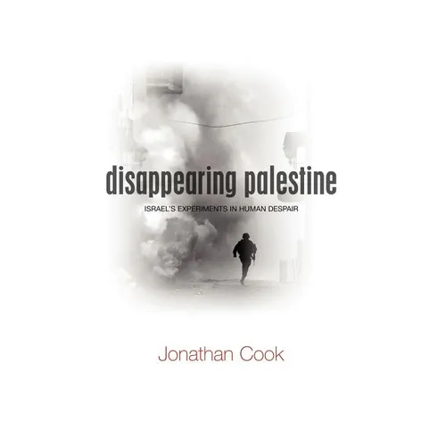 Disappearing Palestine: Israel's Experiments in Human Despair - Paperback