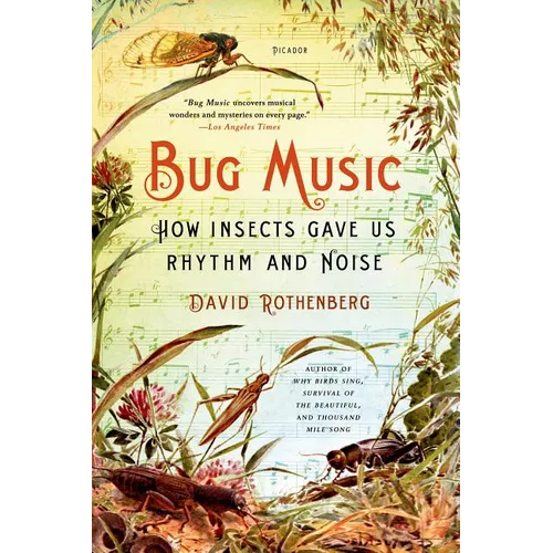 Bug Music - Paperback