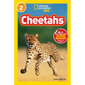 Cheetahs (National Geographic Kids Readers, Level 2) - Paperback