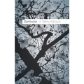 Slantwise: Poems - Paperback