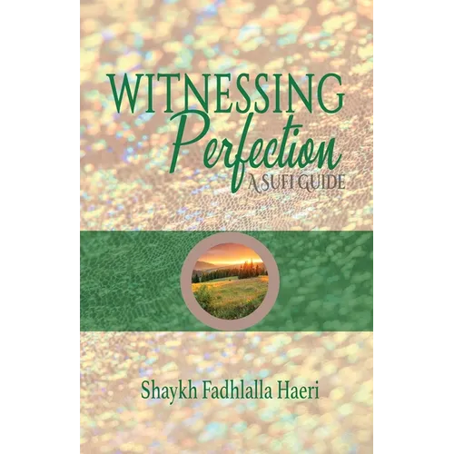 Witnessing Perfection - Paperback