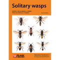 Solitary wasps - Paperback