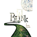 Blink: a poetic novella - Paperback