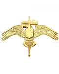 U.S. Marine Corps MARSOC Badge Marine Forces Special Operations Command Full size Brite