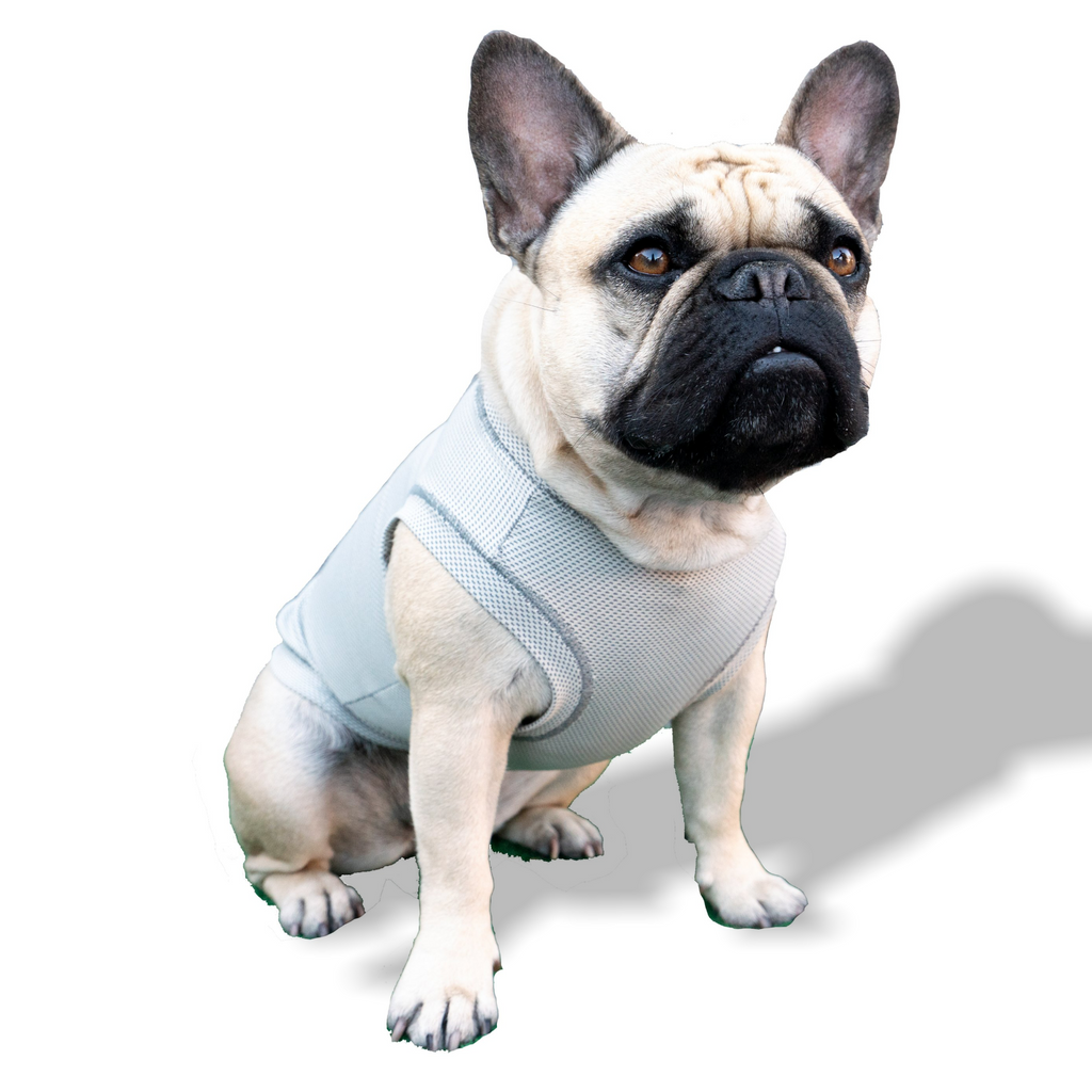 ACTIVE COOLING SHIRT