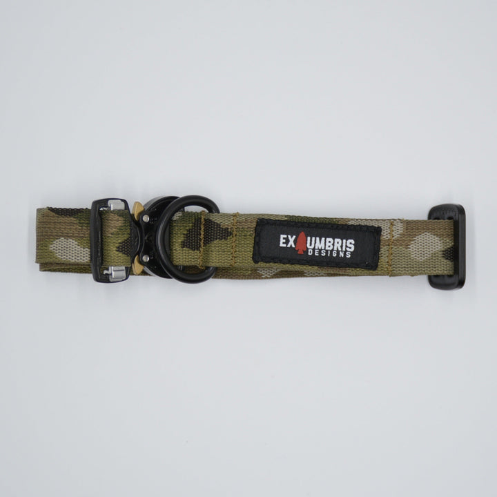 Dog Collars