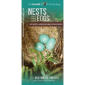Nests and Eggs of North American Backyard Birds - Paperback