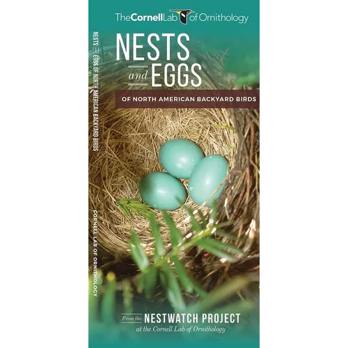 Nests and Eggs of North American Backyard Birds - Paperback