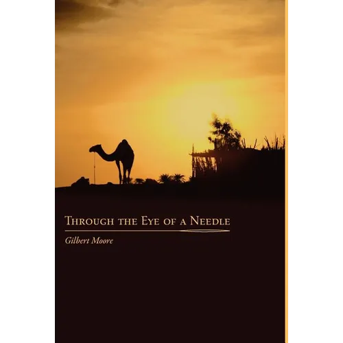 Through the Eye of a Needle: Studies from An Ancient HermeticTeaching - Hardcover