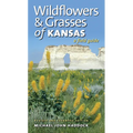 Wildflowers and Grasses of Kansas: A Field Guide, Revised and Expanded Edition - Paperback