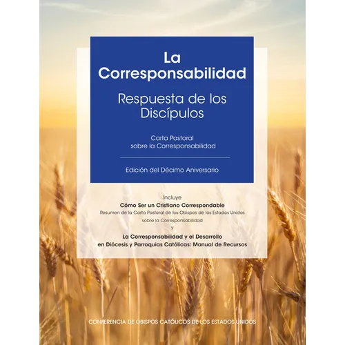 La Corresponsabilidad: Respuesta de Los Discipulos - Paperback