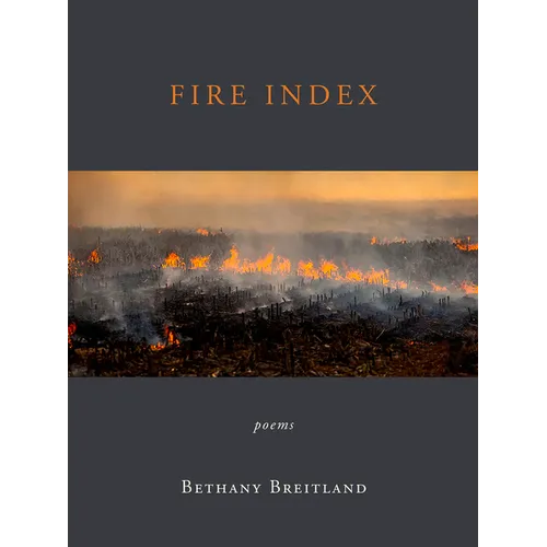 Fire Index: Poems - Paperback