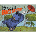 Bruce's Big Storm - Hardcover