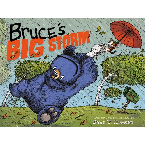 Bruce's Big Storm - Hardcover