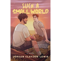 Such a Small World - Paperback