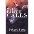 When Birth Calls: Developing Your Inner Birthworker - Paperback
